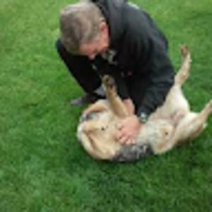 Meet your Posher, Robert